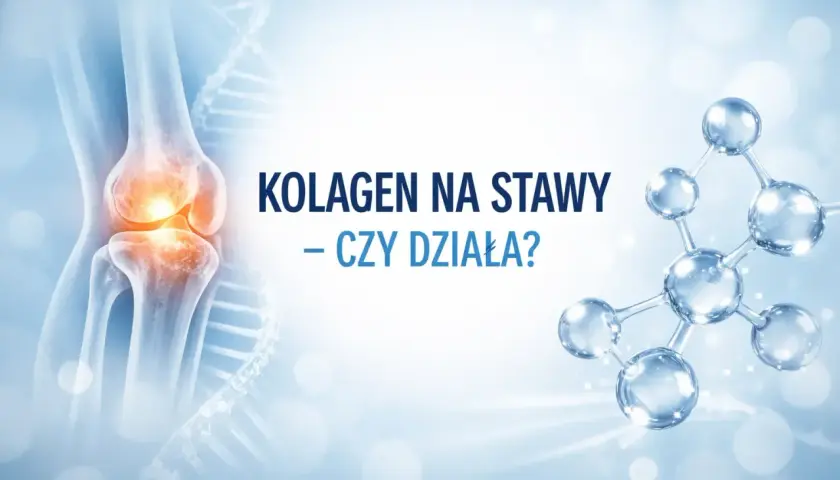 Anatomia stawu kolanowego i cząsteczka kolagenu. Czy kolagen pomaga na stawy?