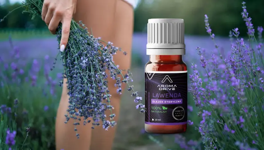 Komary? Zrób naturalny spray lawendowy! Przepis DIY