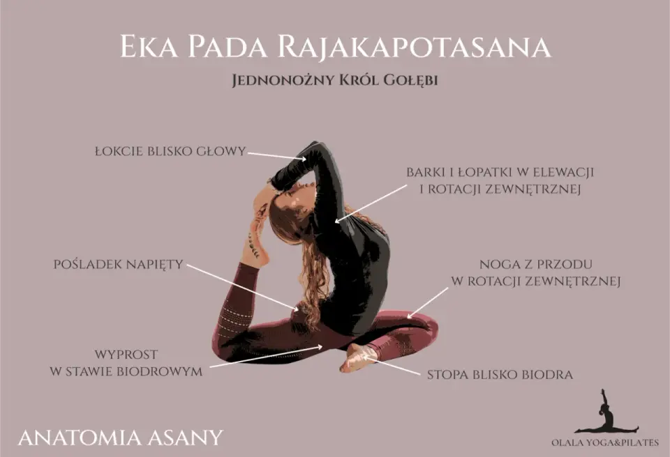 Eka Pada Rajakapotasana - jak bezpiecznie wykonać gołębia?